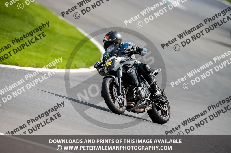 PJ Motorsport 2019;donington no limits trackday;donington park photographs;donington trackday photographs;no limits trackdays;peter wileman photography;trackday digital images;trackday photos